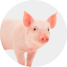 Farm Icon